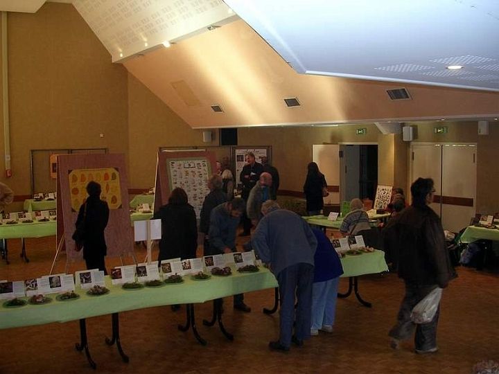 Expo champignons a St Leger 89